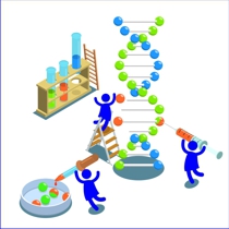 Correcting DNA